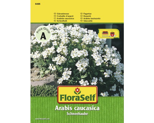 Huseník kavkazký FloraSelf Arabis caucasica