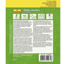 Balení Arabis caucasica Schneehaube s informacemi o pěstování a vlastnostech