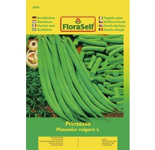 Balení semen keříčkové fazole Prinzessa od FloraSelf