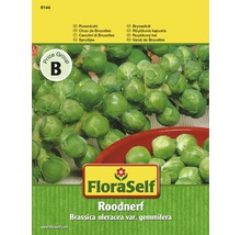 Balení semen FloraSelf Roodnerf růžičkové kapusty