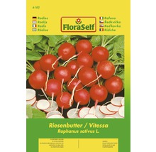 Ředkvička Vitessa FloraSelf