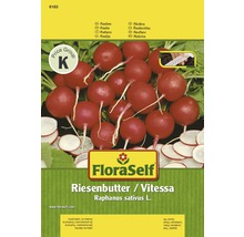 Balení semen ředkvičky FloraSelf Riesenbutter/Vitessa