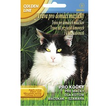 Balení osiva pro kočky s obrázkem kočky