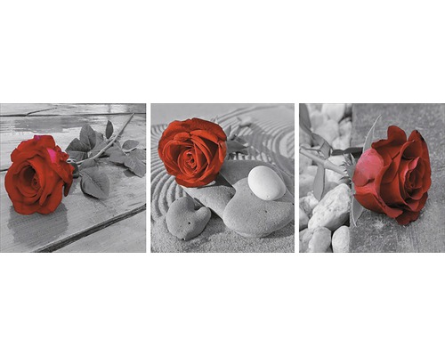 Moderní obraz 3-dílný Růže 30x90 cm