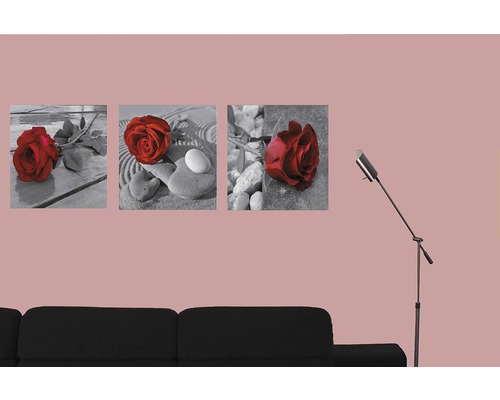 Dekorativní nástěnné obrazy s motivy růží nad gaučem