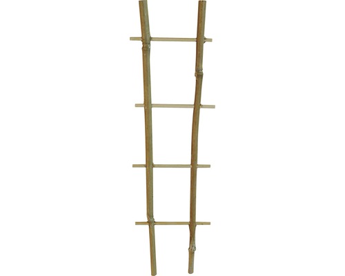 Bambusová podpěra pro rostliny