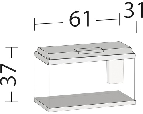 Obrázek akvária s rozměry: 61 centimetrů délka, 37 centimetrů výška, 31 centimetrů hloubka