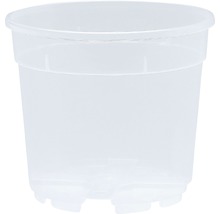 Květináč na orchideje Ø 14 cm bílý transparentní