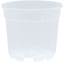 Květináč na orchideje Ø 17 cm plastový transparentní