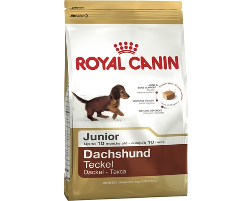 Krmivo pro psy Royal Canin jezevčík Junior 1,5 kg Royal Canin Junior Dachshund krmivo pro psy