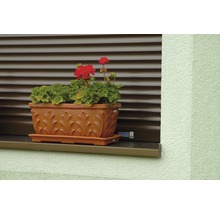 Květináč s muškáty na parapetu před roletou