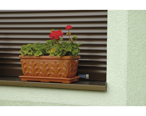 Květináč s muškáty na parapetu před roletou