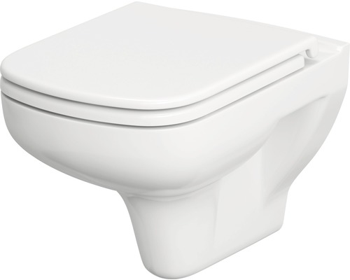 Závěsné WC s hlubokým splachováním a WC sedátkem
