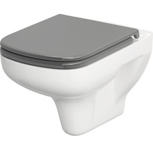 Závěsné WC s šedým WC sedátkem