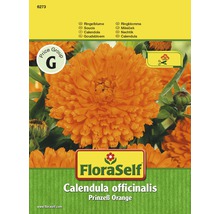 FloraSelf Měsíček lékařský Calendula officinalis Prinzeß Orange semínka