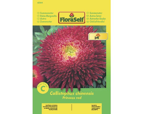 Astra čínská Princess Red 'Callistephus chinensis' květinová semena FloraSelf Astra čínská Princess red, balení semen