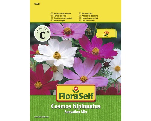 Sensation Mix 'Cosmos bipinnatus' květinová semena FloraSelf