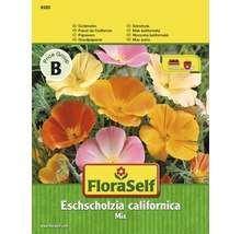 Balení semen FloraSelf Sluncovka kalifornská mix