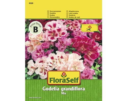 Letní azalka mix 'Godetia grandiflora' FloraSelf květinová semena