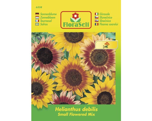 Slunečnice malokvětá 'Helianthus debilis' směs květinových semen FloraSelf