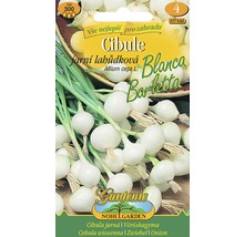Balení semen cibule Blanca Barletta