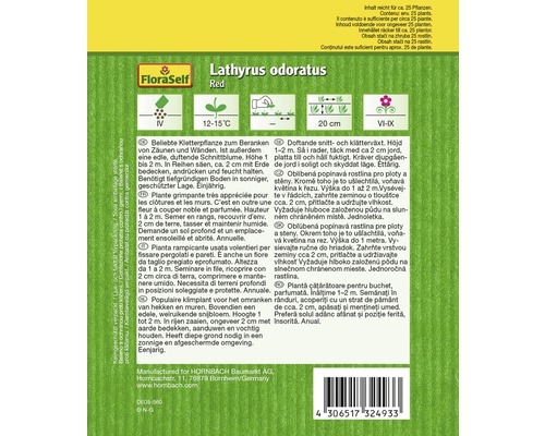 Balíček semen hrachoru vonného, červená odrůda