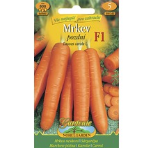 Balení semen mrkve pro zahradu