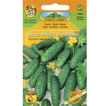 Obrázek balíčku semen okurky nakládačky