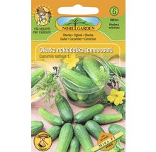 Balení semen okurky