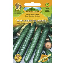 Balení semen okurky pro salátové okurky