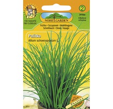 Balíček semen pažitky