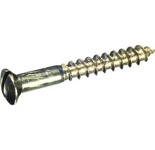 Šroub do dřeva s čočkovou hlavou