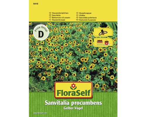 Sanvitalie plazivá FloraSelf květinová semena