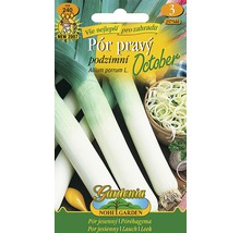 Balení semen pórku pravého podzimního