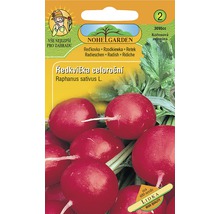 Balení semen ředkviček