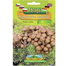 Balení semen hub Profi Šupinovka nameko