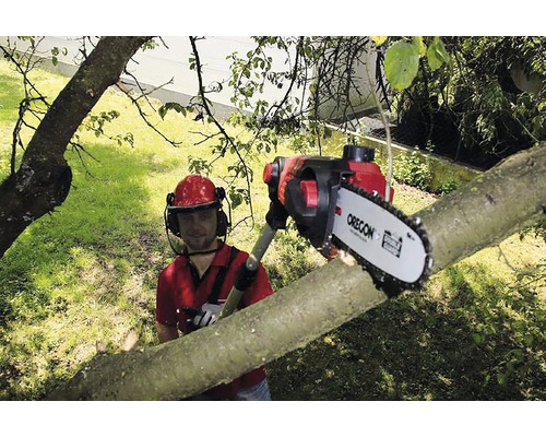 Muž řeže strom vyvětvovací pilou