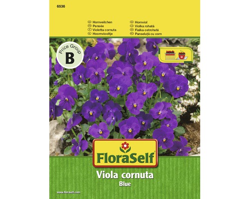 Violka rohatá Viola Blue FloraSelf květinová semena