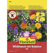Semena lučních květin FloraSelf polní květiny s bylinami pro přírodní louku-thumb-0