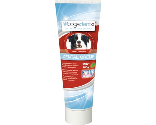 Zubní pasta pro psy Bogadent Dental Creme Mint 100 g Bogadent zubní pasta pro psy s mátou, 100 gramů