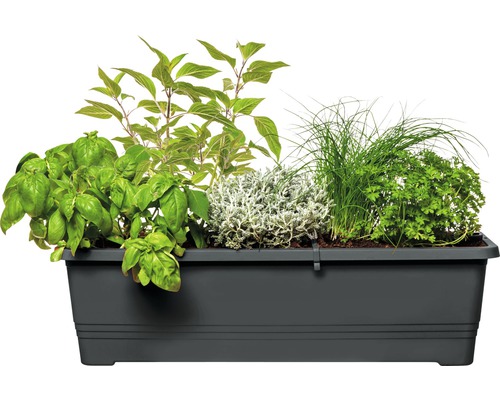 Truhlík osázený bazalkou, meduňkou, kari kořením, pažitkou a petrželkou