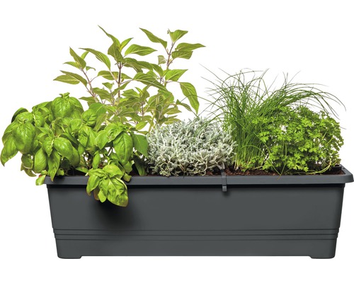 Květináč s bazalkou, tymiánem, pažitkou a petrželkou.