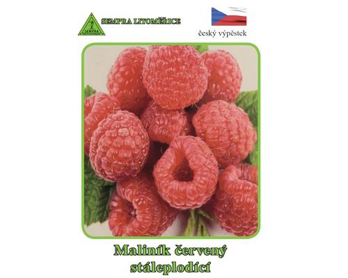 Balení semen malin s ilustrací červených malin