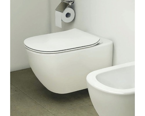 Závěsný záchod s držákem toaletního papíru v koupelně