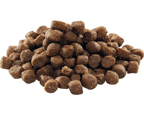 Hromada suchého krmiva pro psy