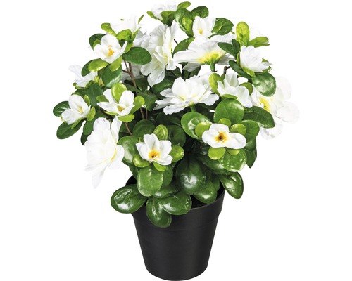Umělá rostlina azalka 24 květů bílá 26 cm v plastovém květináči 10 x 9 cm