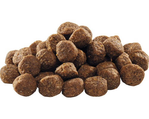 Hromada suchého krmiva pro psy