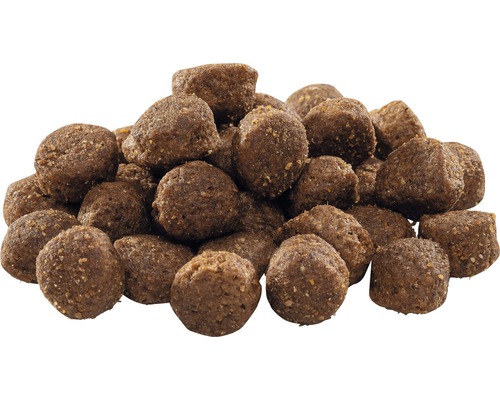 Hromada suchého krmiva pro psy