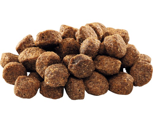 Hromada suchého krmiva pro psy