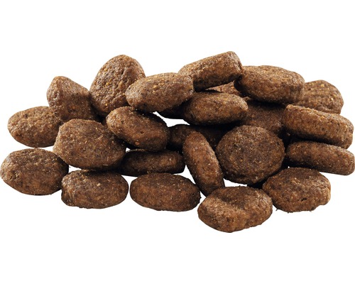 Hromada suchého krmiva pro psy